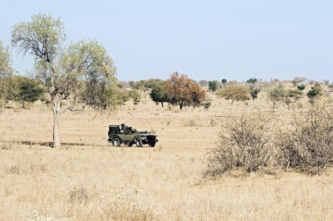 Manvar Resort & Desert Camp Dechu Екстер'єр фото